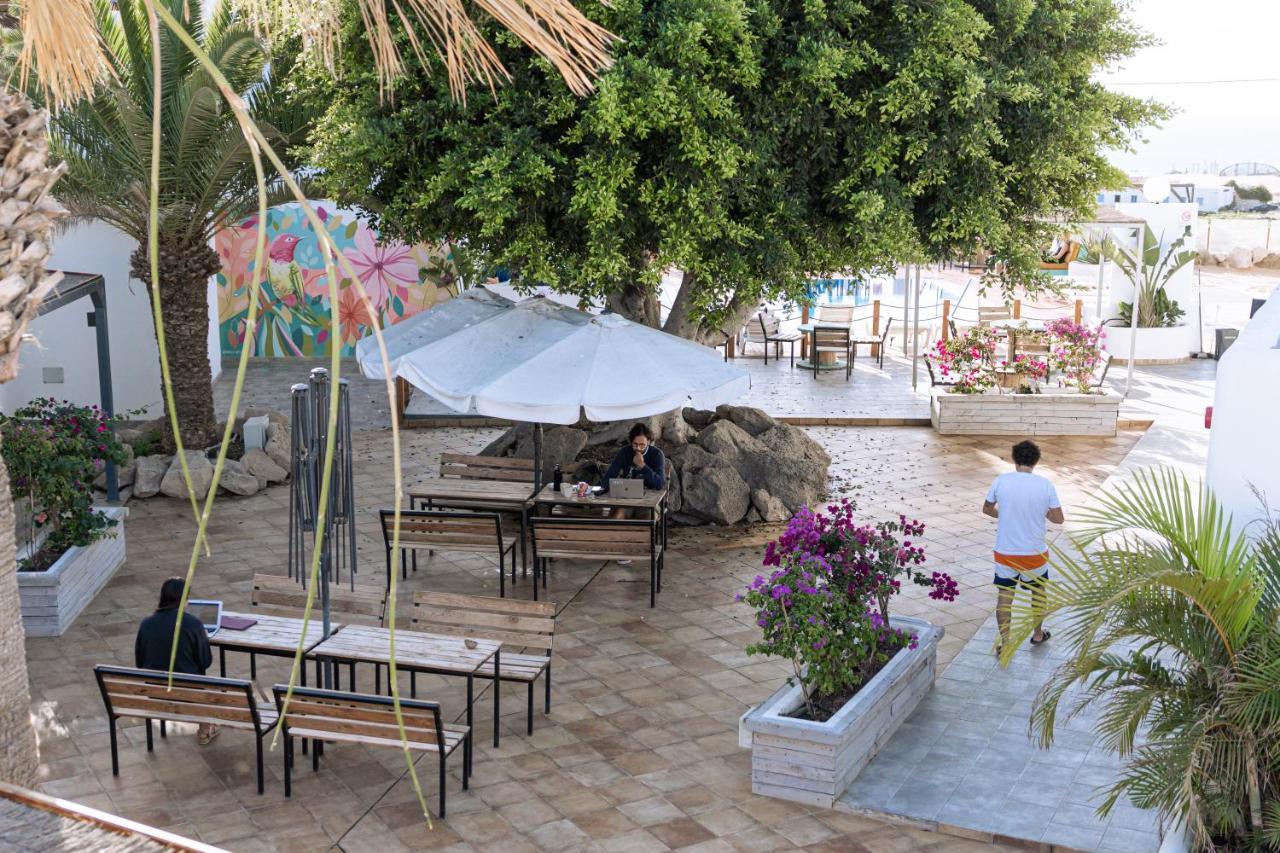 The Tree House Tenerife Эль-Медано Экстерьер фото