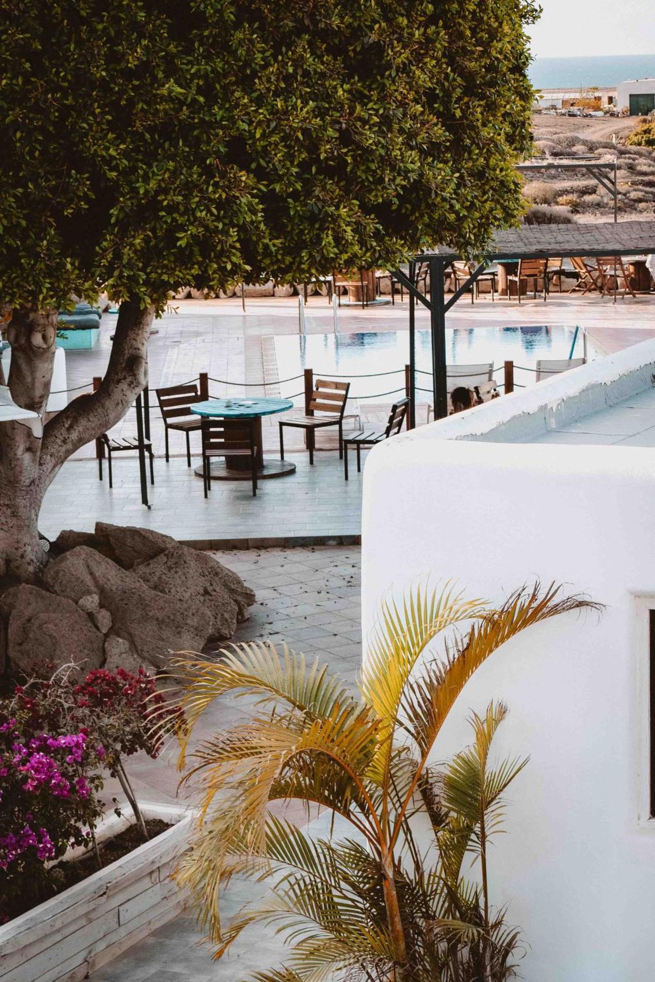 The Tree House Tenerife Эль-Медано Экстерьер фото