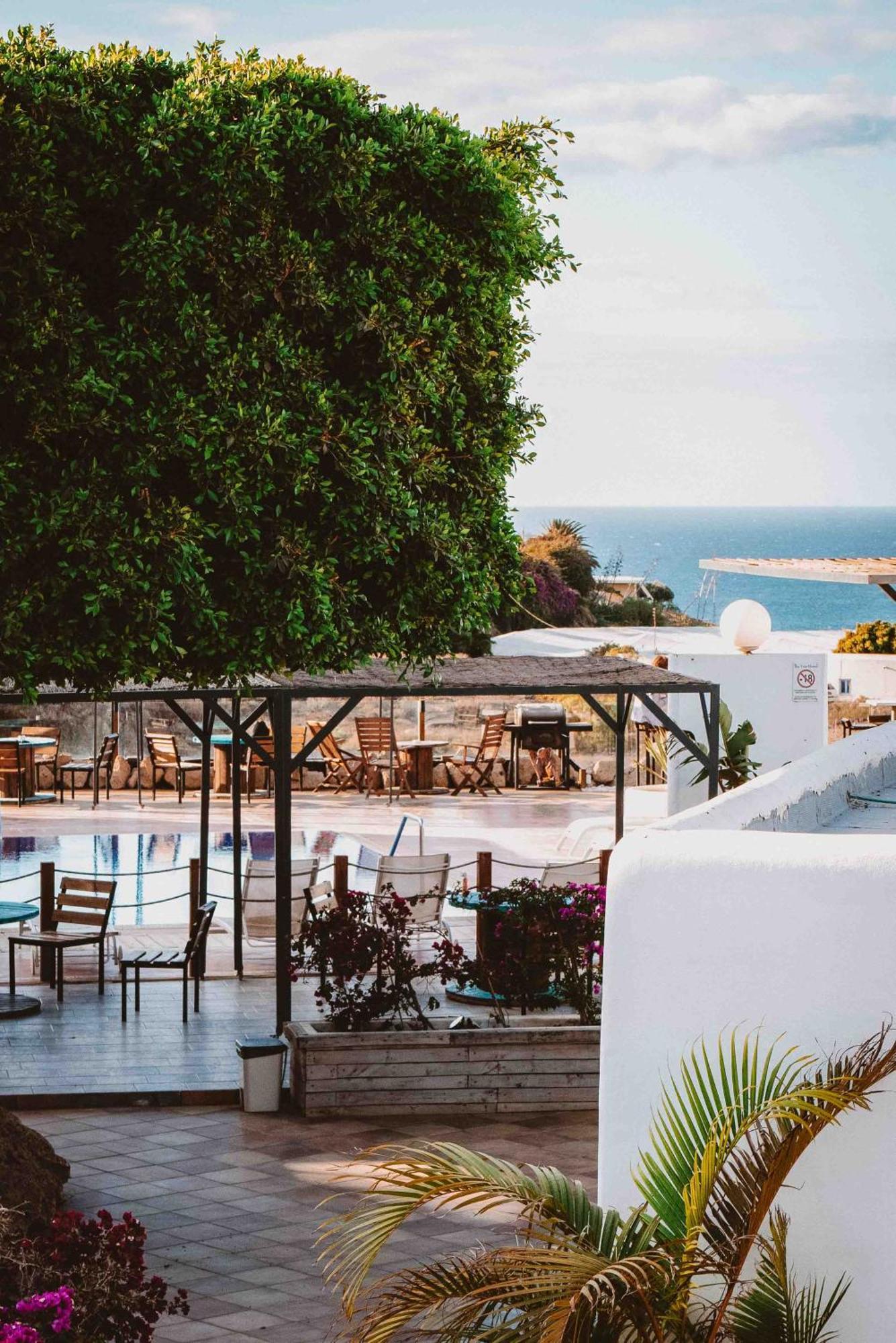 The Tree House Tenerife Эль-Медано Экстерьер фото